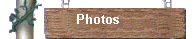 Photos!